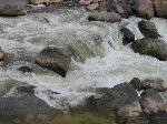 Flod